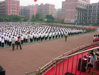 成功案例